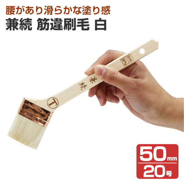 Rakuten - 兼続　筋違刷毛　白　50mm　（大塚刷毛製造）