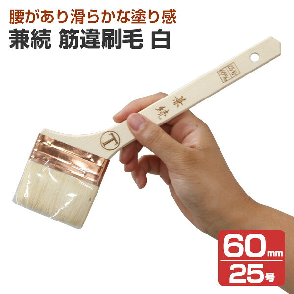メーカー 大塚刷毛製造 用途 合成樹脂塗料の塗装 サイズ 30mm　40mm　50mm　60mm 主原毛 山羊毛：ヤンオ山羊の尾の毛です。腰があり耐久性に富む。主に高級刷毛に使用。 特長 腰があり滑らかな塗り感で作業性抜群。 ラック・ニス用に適した薄口タイプ。兼続　筋違刷毛 商品説明 大塚刷毛製造の兼続　筋違刷毛は、合成樹脂塗料用の筋違刷毛です。合成樹脂塗料用刷毛薄口タイプでしっかりとした腰感と耐久力・スムーズな塗り心地。 特長 しっかりとした腰感とスムーズな塗り心地がポイント。使いやすい長柄タイプです。