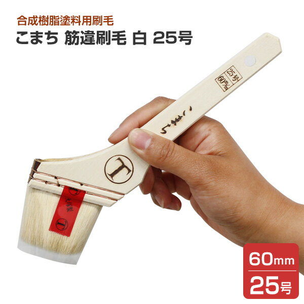 Rakuten - こまち　筋違刷毛　白　25号　（大塚刷毛製造）