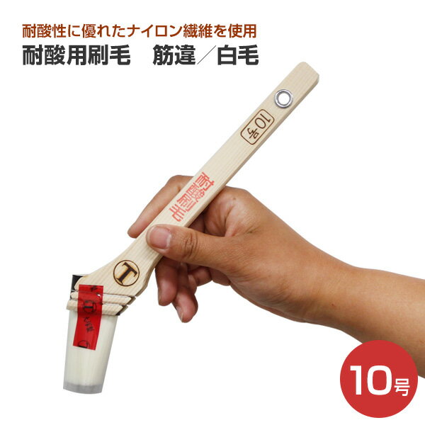 Rakuten - 耐酸用刷毛　筋違／白毛　10号 （大塚刷毛製造/ハケ/はけ）