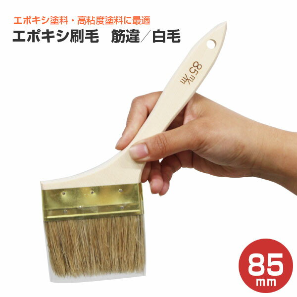 Rakuten - エポキシ刷毛　筋違／白毛　85mm （大塚刷毛）