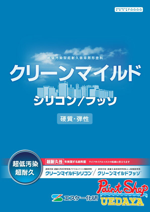 クリーンマイルドフッソ　15Kセット　B色 　エスケー化研 1