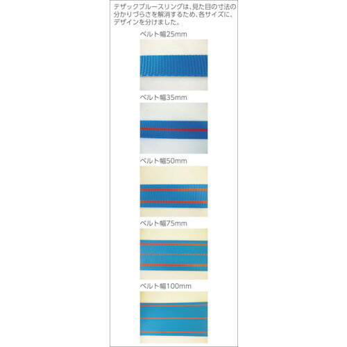 TESAC　ブルースリング（JIS3等級・両端アイ形）（3E100X8）