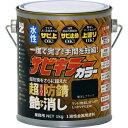 サビキラーカラー 艶消しブラック 1Kg 【BAN-ZI】