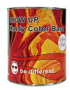 Kandy Color Mixing Pearls(KMP) 0.9Kg【SHOW UP】