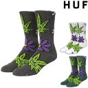 nt \bNX HUF GREEN BUDDY BLOSSOM SOCK nC\bNX XP[^[\bNX C XP[^[