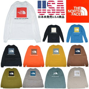 ザ ノースフェイス ロンT THE NORTH FACE L/S BOX NSE TEE ノースフェイス Tシャツ （日本未発売USA商品）ロングスリーブ Tシャツ メンズ プリント Tシャツ ザ・ノース・フェイス 長袖 Tシャツ ロゴTシャツ