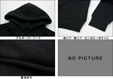 THE NORTH FACE HALF DOME HOODIE ノースフェイス パーカー (日本未発売USA企画) ハーフドームフーディー プリントパーカー ロゴパーカー プルオーバー メンズ