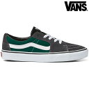 oY Xj[J[ VANS SK8-LOW JUNGLE GREEN / CHARCOAL @Y Xj[J[ K戵X XP[g XP[gE EJbg XPV[ XP[^[