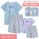 【期間限定10%OFF】ミッフィー miffy キッズ 綿100% 女の子 半袖 夏 薄くて軽い Tシャツ素材 プリント サックス パープル 100 110 1...