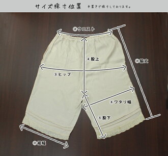 ペチコートパンツ,コットンレース,タック,キュプラ