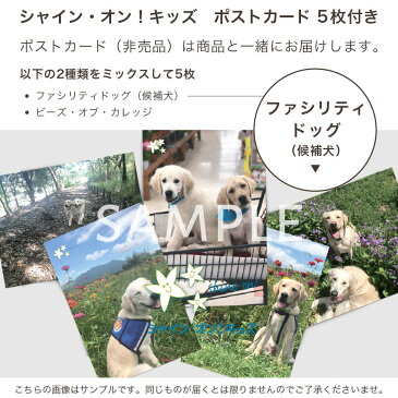 【チャリティ】“ノビーゼ”ストレッチ2重ガーゼ 長袖レディースパジャマ シャイン・オン!キッズのチャリティーポストカード付 寝返りしやすいねまき【あす楽対応】