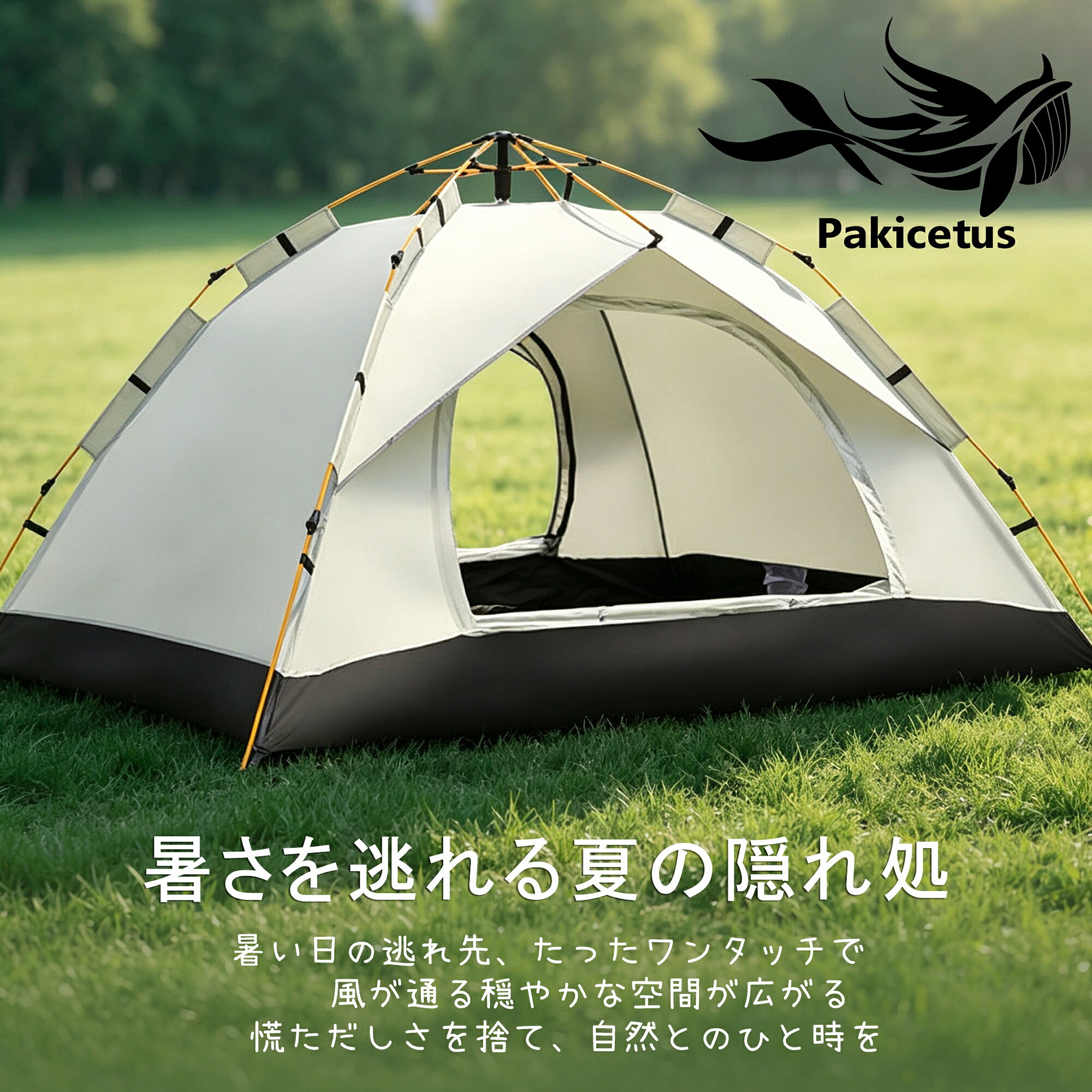 楽天市場】Pasinaz ワンタッチテント 4人用の通販