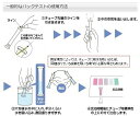 パックテスト?　ビタミンC（アスコルビン酸）