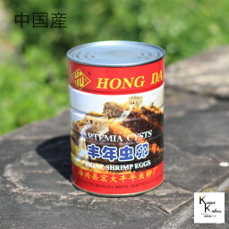 「ブラインシュリンプ　中国産 　10g」　ブラインシュリンプ エッグ　　稚魚用飼料 アルテミア たまご 観賞魚用飼料 熱帯魚 HD-09