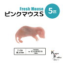 「ピンクマウスS 5匹 Biokimia 」 約2.5cm 1~2g 冷凍マウス 冷凍ラット フレッシュマウス フレッシュラット 冷凍餌 エサ えさ 爬虫類 両...