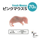 「ピンクマウスS 70匹(7袋) Biokimia 」 約2.5cm 1~2g 冷凍マウス 冷凍ラット フレッシュマウス フレッシュラット 冷凍餌 エサ えさ 爬虫類 両生類 猛禽類 大型魚 大型肉食魚