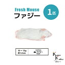 「ファジー 1匹 Biokimia 」 約5.5cm 10〜12g 冷凍マウス 冷凍ラット フレッシュマウス フレッシュラット 冷凍餌 エサ えさ 爬虫類 両生...