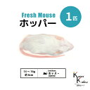 「ホッパー 1匹 Biokimia 」 約6cm 14~16g 冷凍マウス 冷凍ラット フレッシュマウス フレッシュラット 冷凍餌 エサ えさ 爬虫類 両生類 猛禽類 大型魚 大型肉食魚