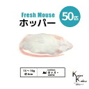 「ホッパー 50匹(5袋) Biokimia 」 約6cm 14〜16g 冷凍マウス 冷凍ラット フレッシュマウス フレッシュラット 冷凍餌 エサ えさ 爬虫類...
