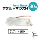 「アダルトマウスM 30匹(3袋) Biokimia 」 約7cm 20〜25g 冷凍マウス 冷凍ラット フレッシュマウス フレッシュラット 冷凍餌 エサ えさ...