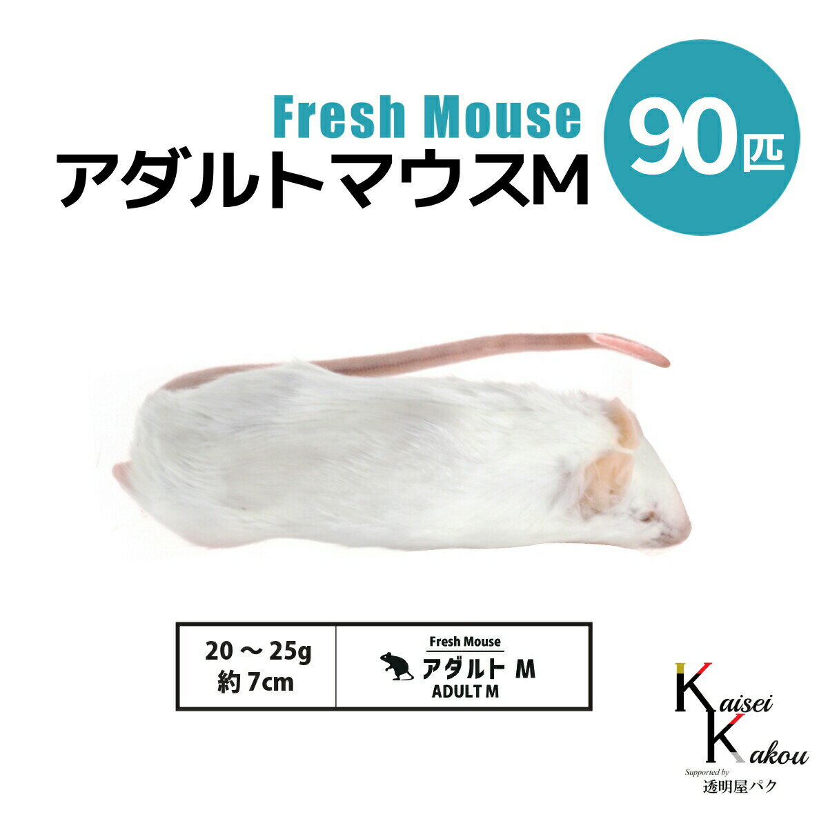   ȥޥM 90ɤ(9) Biokimia  7cm 2025g ޥ å եåޥ ե...