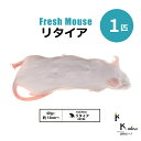 「リタイア 1匹 Biokimia 」 約10cm 40g+ 冷凍マウス 冷凍ラット フレッシュマウス フレッシュラット 冷凍餌 エサ えさ 爬虫類 両生類 猛禽類 大型魚 大型肉食魚