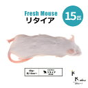 「リタイア 15匹 Biokimia 」 約10cm 40g+ 冷凍マウス 冷凍ラット フレッシュマウス フレッシュラット 冷凍餌 エサ えさ 爬虫類 両生類 ...