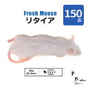 「リタイア 150匹(15袋) Biokimia 」 約10cm 40g+ 冷凍マウス 冷凍ラット フレッシュマウス フレッシュラット 冷凍餌 エサ えさ 爬虫類 両生類 猛禽類 大型魚 大型肉食魚
