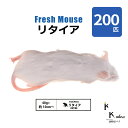 「リタイア 200匹(20袋) Biokimia 」 約10cm 40g+ 冷凍マウス 冷凍ラット フレッシュマウス フレッシュラット 冷凍餌 エサ えさ 爬虫類 両生類 猛禽類 大型魚 大型肉食魚