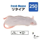「リタイア 250匹(25袋) Biokimia 」 約10cm 40g+ 冷凍マウス 冷凍ラット フレッシュマウス フレッシュラット 冷凍餌 エサ えさ 爬虫類 両生類 猛禽類 大型魚 大型肉食魚