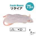 「リタイア 75匹 Biokimia 」 約10cm 40g+ 冷凍マウス 冷凍ラット フレッシュマウス フレッシュラット 冷凍餌 エサ えさ 爬虫類 両生類 猛禽類 大型魚 大型肉食魚