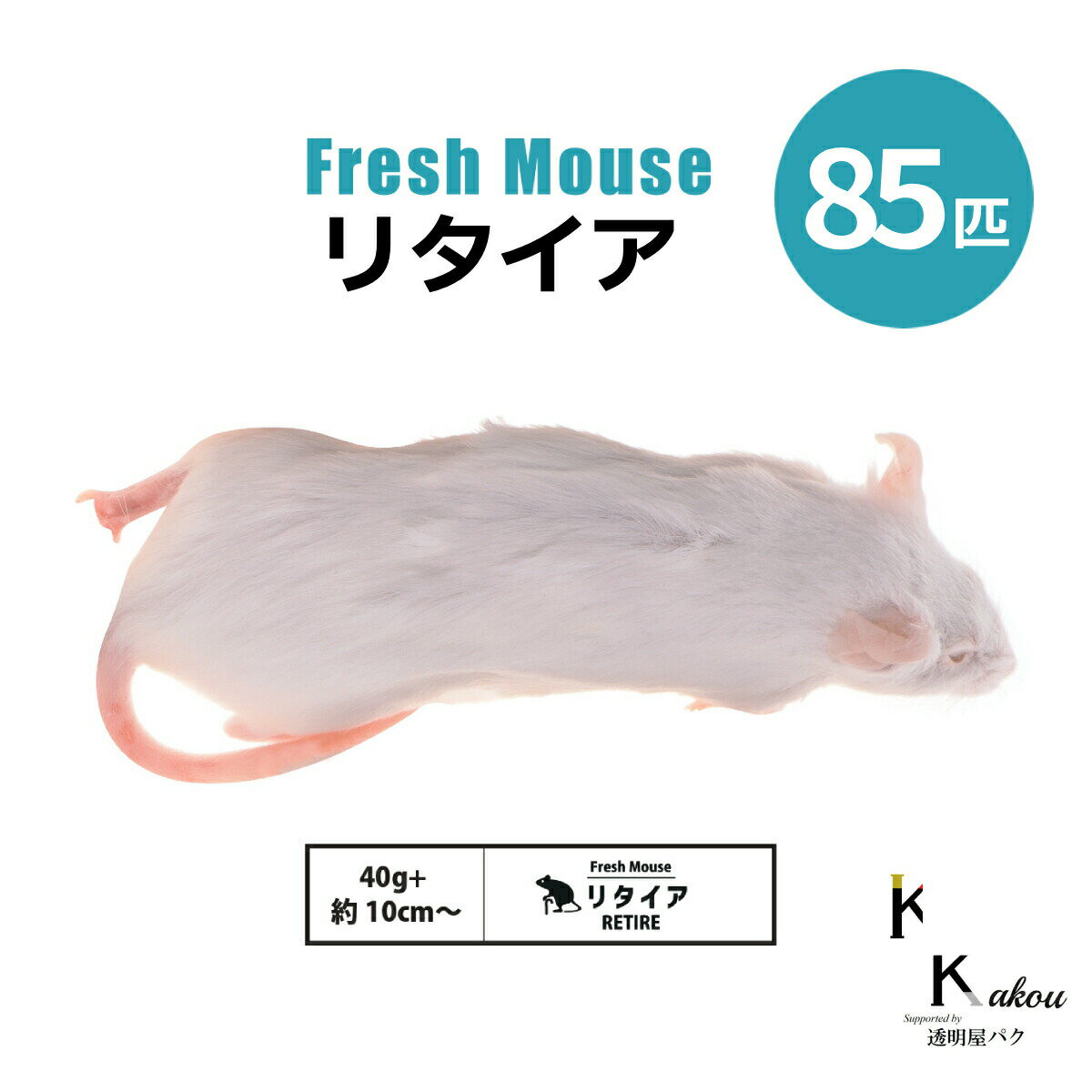  ꥿ 85ɤ Biokimia  10cm 40g+ ޥ å եåޥ եåå ...