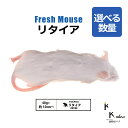 「リタイア 選べる数量 Biokimia 」 約10cm 40g+ 冷凍マウス 冷凍ラット フレッシュマウス フレッシュラット 冷凍餌 エサ えさ 爬虫類 両生...