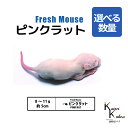 「ピンクラット 選べる数量 Biokimia 」 約5cm 8〜11g 冷凍マウス 冷凍ラット フレッシュマウス フレッシュラット 冷凍餌 エサ えさ 爬虫類 ...