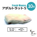 「アダルトラットS 10匹 Biokimia 」 約13cm 60~80g 冷凍マウス 冷凍ラット フレッシュマウス フレッシュラット 冷凍餌 エサ えさ 爬虫類 両生類 猛禽類 大型魚 大型肉食魚
