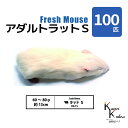 「アダルトラットS 100匹 Biokimia 」 約13cm 60~80g 冷凍マウス 冷凍ラット フレッシュマウス フレッシュラット 冷凍餌 エサ えさ 爬虫類 両生類 猛禽類 大型魚 大型肉食魚