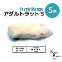「アダルトラットS 5匹 Biokimia 」 約13cm 60〜80g 冷凍マウス 冷凍ラット フレッシュマウス フレッシュラット 冷凍餌 エサ えさ 爬虫類...