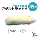 「アダルトラットM 45匹 Biokimia 」 約14cm 100〜120g 冷凍マウス 冷凍ラット フレッシュマウス フレッシュラット 冷凍餌 エサ えさ ...