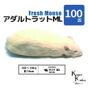 「アダルトラットML 100匹 Biokimia 」 約16cm 140~160g 冷凍マウス 冷凍ラット フレッシュマウス フレッシュラット 冷凍餌 エサ えさ 爬虫類 両生類 猛禽類 大型魚 大型肉食魚