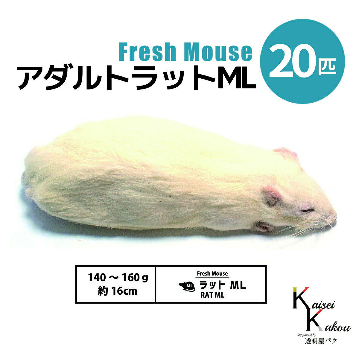   ȥåML 20ɤ Biokimia  16cm 140160g ޥ å եåޥ ե...
