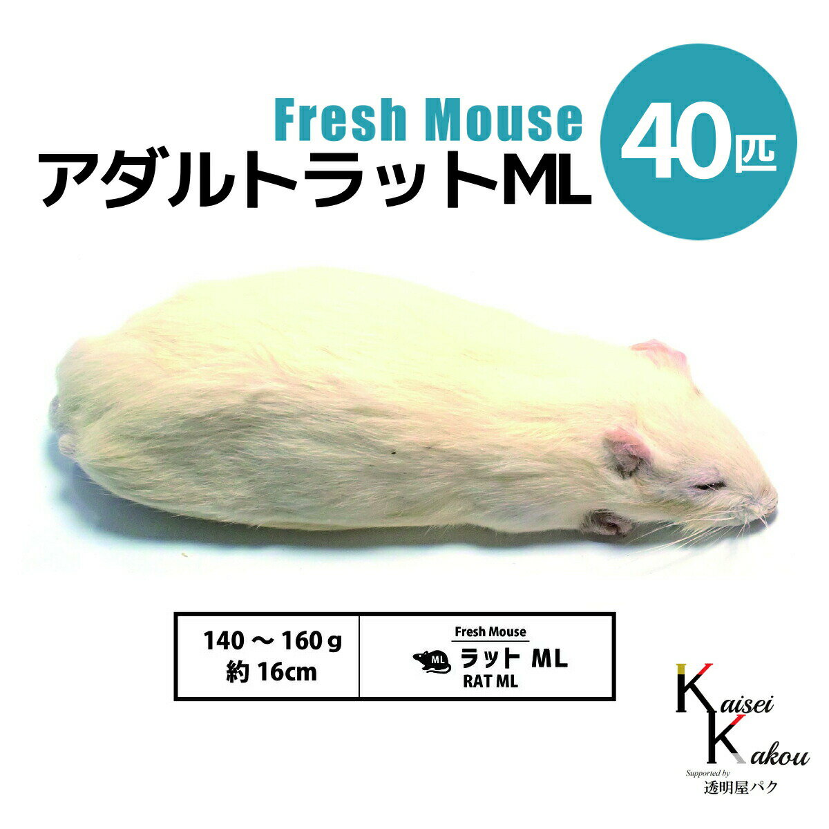   ȥåML 40ɤ Biokimia  16cm 140160g ޥ å եåޥ ե...
