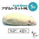 「アダルトラットML 5匹 Biokimia 」 約16cm 140〜160g 冷凍マウス 冷凍ラット フレッシュマウス フレッシュラット 冷凍餌 エサ えさ ...