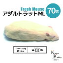 「アダルトラットML 70匹 Biokimia 」 約16cm 140~160g 冷凍マウス 冷凍ラット フレッシュマウス フレッシュラット 冷凍餌 エサ えさ 爬虫類 両生類 猛禽類 大型魚 大型肉食魚