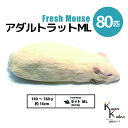 「アダルトラットML 80匹 Biokimia 」 約16cm 140〜160g 冷凍マウス 冷凍ラット フレッシュマウス フレッシュラット 冷凍餌 エサ えさ...