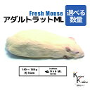 「アダルトラットML 選べる数量 Biokimia 」 約16cm 140~160g 冷凍マウス 冷凍ラット フレッシュマウス フレッシュラット 冷凍餌 エサ えさ 爬虫類 両生類 猛禽類 大型魚 大型肉食魚