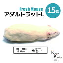 「アダルトラットL 15匹 Biokimia 」 約18cm 180〜220g 冷凍マウス 冷凍ラット フレッシュマウス フレッシュラット 冷凍餌 エサ えさ ...