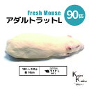 「アダルトラットL 90匹 Biokimia 」 約18cm 180〜220g 冷凍マウス 冷凍ラット フレッシュマウス フレッシュラット 冷凍餌 エサ えさ ...