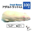 「アダルトラットLL 100匹 Biokimia 」 約20cm 240~280g 冷凍マウス 冷凍ラット フレッシュマウス フレッシュラット 冷凍餌 エサ えさ 爬虫類 両生類 猛禽類 大型魚 大型肉食魚