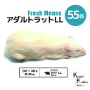 「アダルトラットLL 55匹 Biokimia 」 約20cm 240〜280g 冷凍マウス 冷凍ラット フレッシュマウス フレッシュラット 冷凍餌 エサ えさ...